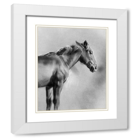 Charcoal Equine Portrait I White Modern Wood Framed Art Print with Double Matting by Caroline, Emma