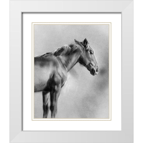 Charcoal Equine Portrait I White Modern Wood Framed Art Print with Double Matting by Caroline, Emma