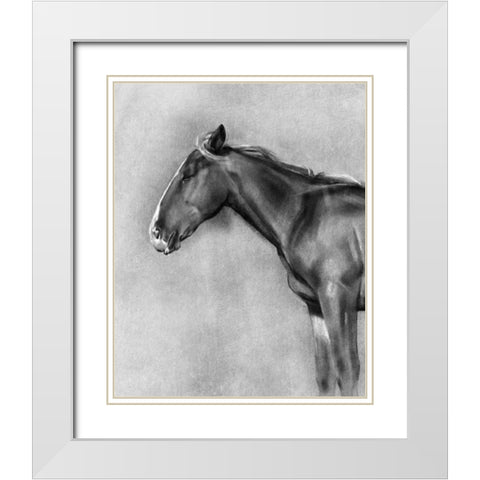 Charcoal Equine Portrait II White Modern Wood Framed Art Print with Double Matting by Caroline, Emma