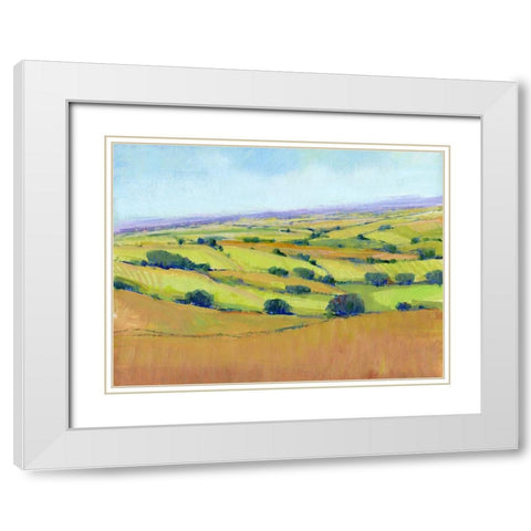 Patchwork Vista I White Modern Wood Framed Art Print with Double Matting by OToole, Tim