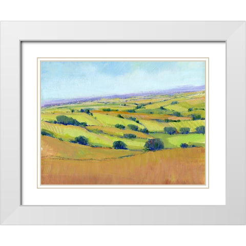 Patchwork Vista I White Modern Wood Framed Art Print with Double Matting by OToole, Tim