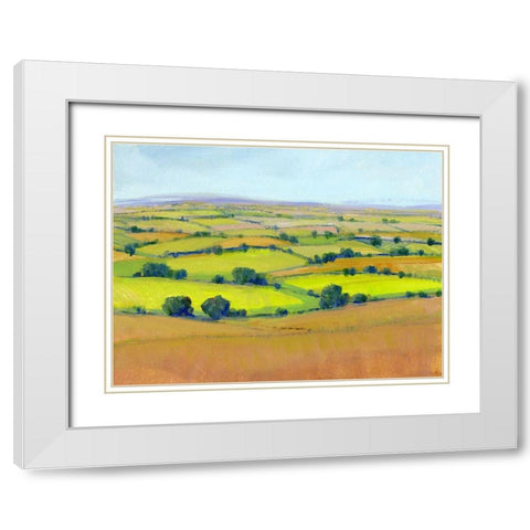 Patchwork Vista II White Modern Wood Framed Art Print with Double Matting by OToole, Tim
