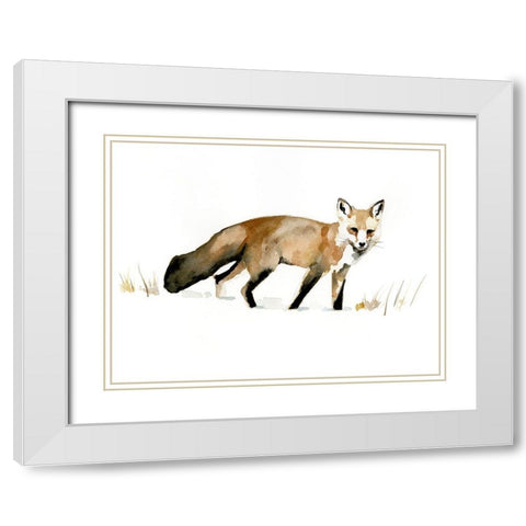 Winter Fox I White Modern Wood Framed Art Print with Double Matting by Barnes, Victoria