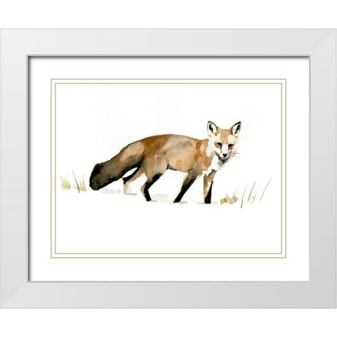 Winter Fox I White Modern Wood Framed Art Print with Double Matting by Barnes, Victoria