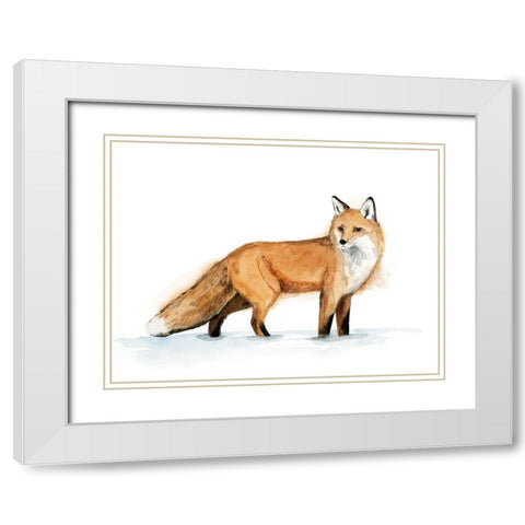 Snow Fox I White Modern Wood Framed Art Print with Double Matting by Popp, Grace