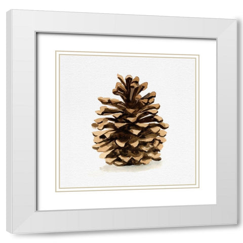 Conifer Cone I White Modern Wood Framed Art Print with Double Matting by Caroline, Emma