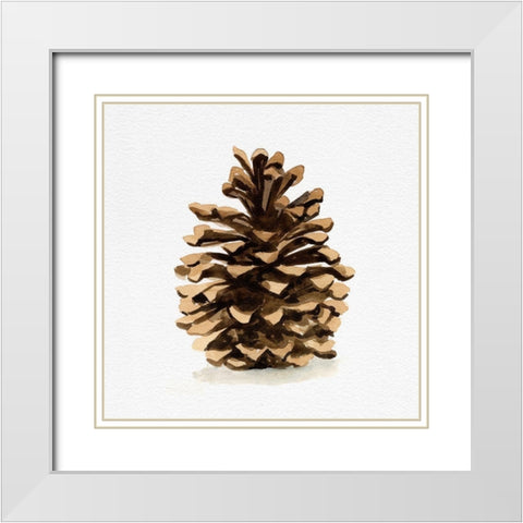Conifer Cone I White Modern Wood Framed Art Print with Double Matting by Caroline, Emma