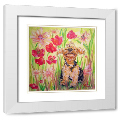 Playful Pup X White Modern Wood Framed Art Print with Double Matting by Dillon, Carol