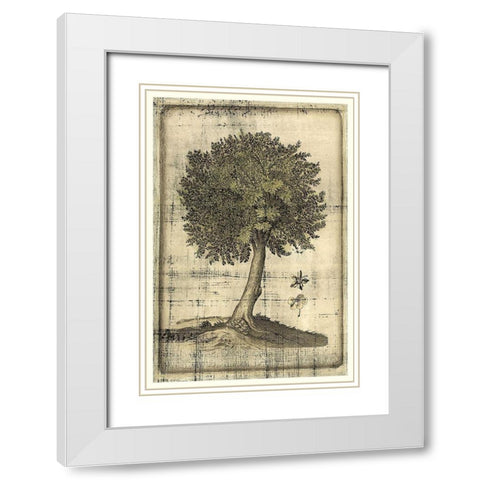 Fruitful Realm I White Modern Wood Framed Art Print with Double Matting by Vision Studio