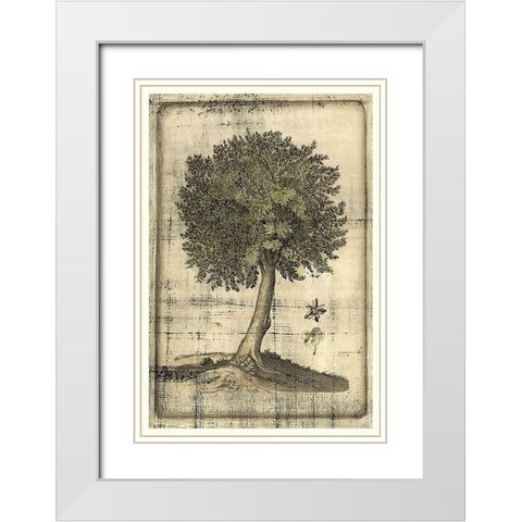 Fruitful Realm I White Modern Wood Framed Art Print with Double Matting by Vision Studio