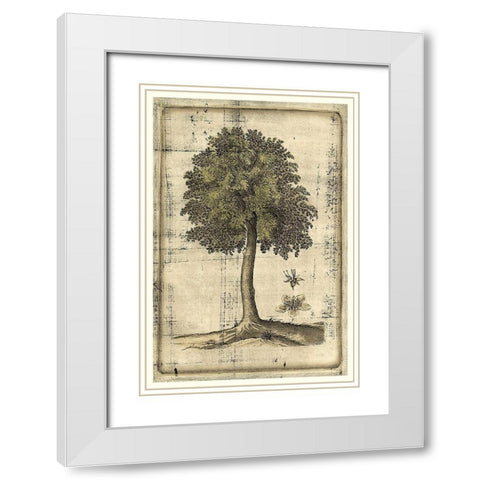 Fruitful Realm II White Modern Wood Framed Art Print with Double Matting by Vision Studio