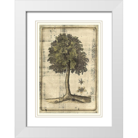 Fruitful Realm II White Modern Wood Framed Art Print with Double Matting by Vision Studio