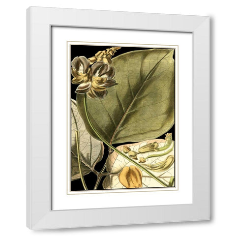Tranquil Tropical Leaves I White Modern Wood Framed Art Print with Double Matting by Vision Studio