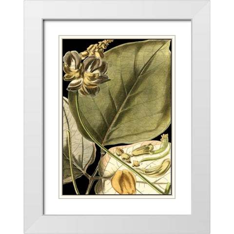 Tranquil Tropical Leaves I White Modern Wood Framed Art Print with Double Matting by Vision Studio