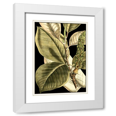 Tranquil Tropical Leaves II White Modern Wood Framed Art Print with Double Matting by Vision Studio