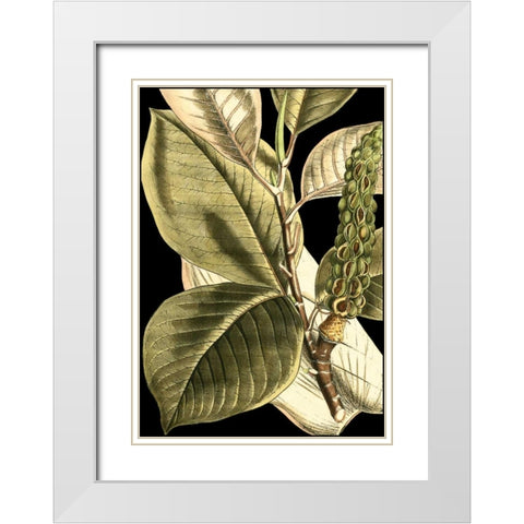 Tranquil Tropical Leaves II White Modern Wood Framed Art Print with Double Matting by Vision Studio