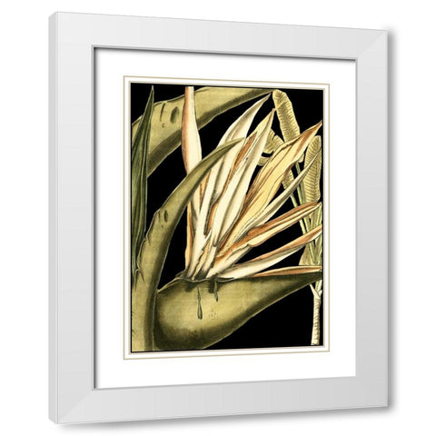 Tranquil Tropical Leaves III White Modern Wood Framed Art Print with Double Matting by Vision Studio
