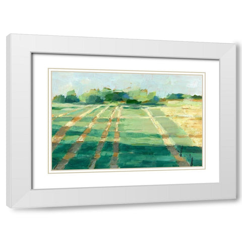 Mid Summer Shadows I White Modern Wood Framed Art Print with Double Matting by Harper, Ethan