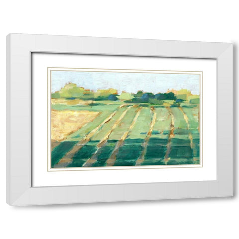 Mid Summer Shadows II White Modern Wood Framed Art Print with Double Matting by Harper, Ethan