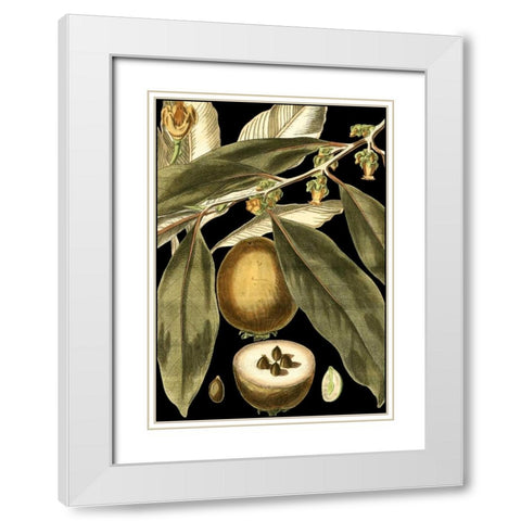 Tranquil Tropical Leaves IV White Modern Wood Framed Art Print with Double Matting by Vision Studio