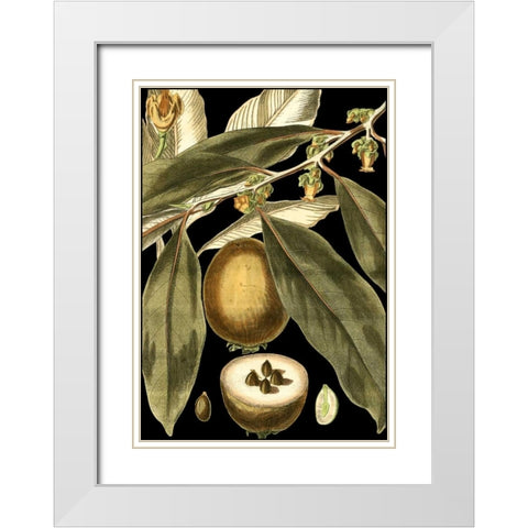 Tranquil Tropical Leaves IV White Modern Wood Framed Art Print with Double Matting by Vision Studio