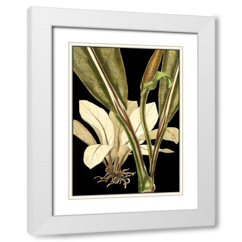 Tranquil Tropical Leaves V White Modern Wood Framed Art Print with Double Matting by Vision Studio