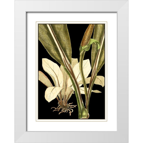 Tranquil Tropical Leaves V White Modern Wood Framed Art Print with Double Matting by Vision Studio