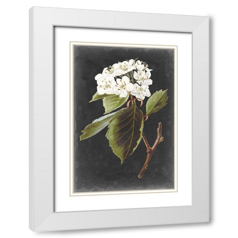 Dramatic White Flowers I White Modern Wood Framed Art Print with Double Matting by Vision Studio