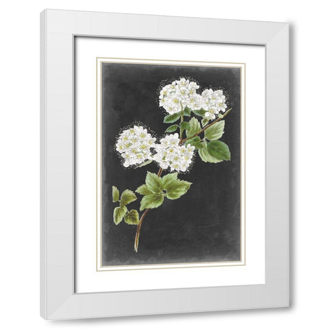 Dramatic White Flowers II White Modern Wood Framed Art Print with Double Matting by Vision Studio