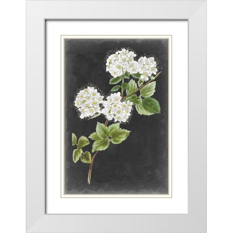 Dramatic White Flowers II White Modern Wood Framed Art Print with Double Matting by Vision Studio