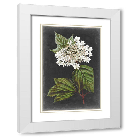 Dramatic White Flowers III White Modern Wood Framed Art Print with Double Matting by Vision Studio