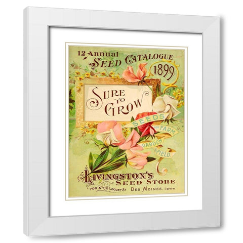 Antique Seed Packets VIII White Modern Wood Framed Art Print with Double Matting by Unknown
