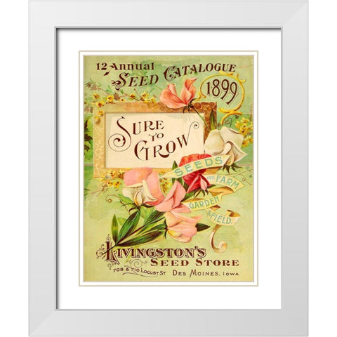 Antique Seed Packets VIII White Modern Wood Framed Art Print with Double Matting by Unknown