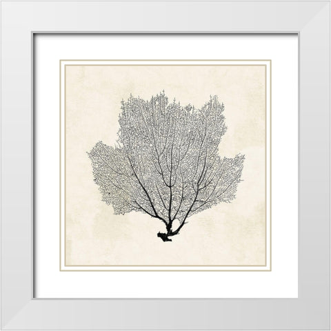 Sea Fan Sketch I White Modern Wood Framed Art Print with Double Matting by Popp, Grace