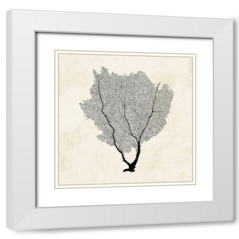 Sea Fan Sketch II White Modern Wood Framed Art Print with Double Matting by Popp, Grace