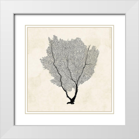 Sea Fan Sketch II White Modern Wood Framed Art Print with Double Matting by Popp, Grace