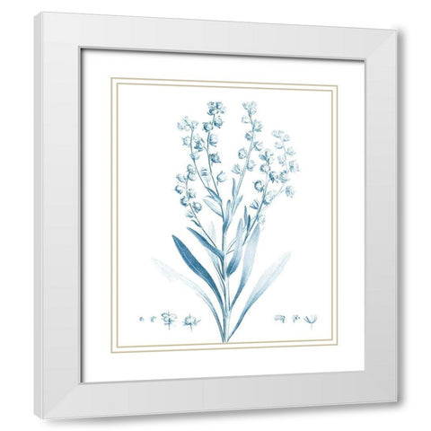 Antique Botanical in Blue I White Modern Wood Framed Art Print with Double Matting by Vision Studio