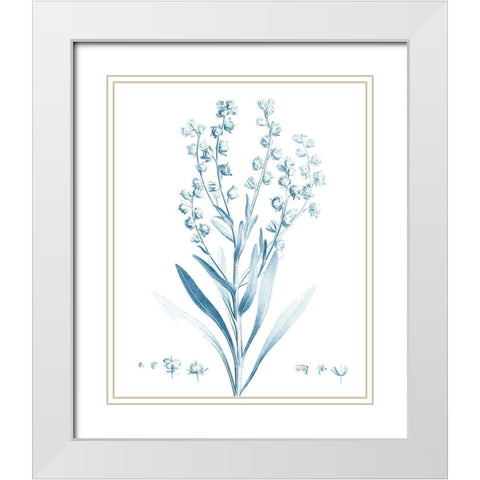 Antique Botanical in Blue I White Modern Wood Framed Art Print with Double Matting by Vision Studio