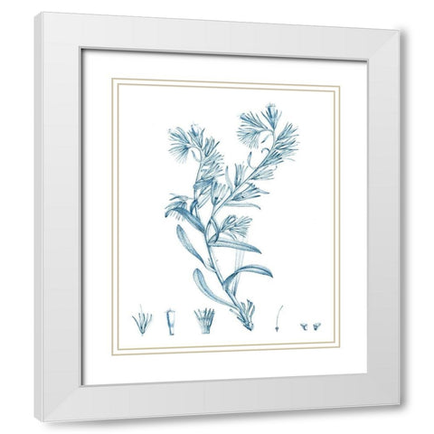 Antique Botanical in Blue II White Modern Wood Framed Art Print with Double Matting by Vision Studio