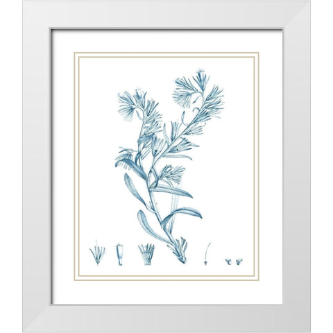 Antique Botanical in Blue II White Modern Wood Framed Art Print with Double Matting by Vision Studio