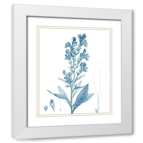 Antique Botanical in Blue III White Modern Wood Framed Art Print with Double Matting by Vision Studio