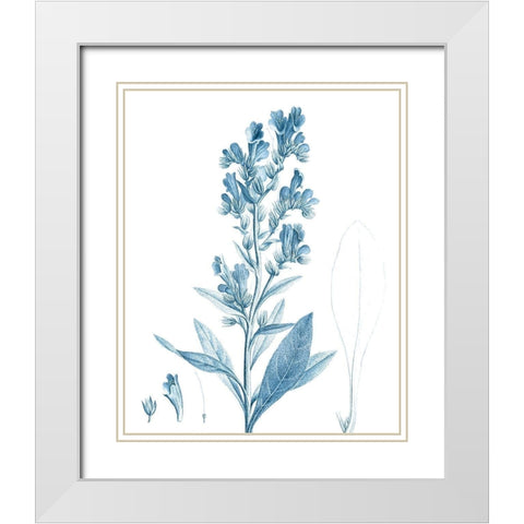 Antique Botanical in Blue III White Modern Wood Framed Art Print with Double Matting by Vision Studio