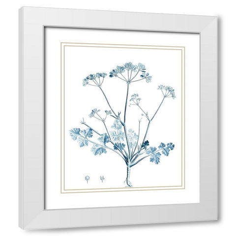 Antique Botanical in Blue IV White Modern Wood Framed Art Print with Double Matting by Vision Studio