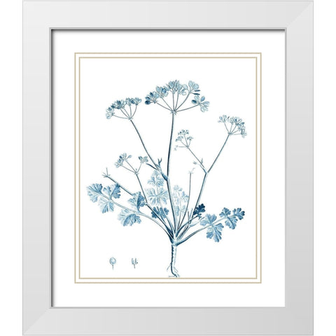 Antique Botanical in Blue IV White Modern Wood Framed Art Print with Double Matting by Vision Studio