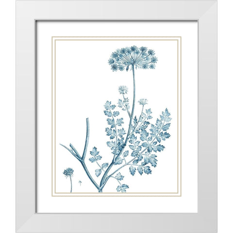 Antique Botanical in Blue V White Modern Wood Framed Art Print with Double Matting by Vision Studio