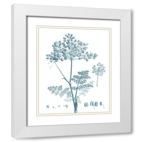 Antique Botanical in Blue VI White Modern Wood Framed Art Print with Double Matting by Vision Studio