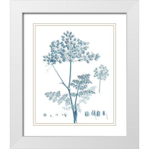 Antique Botanical in Blue VI White Modern Wood Framed Art Print with Double Matting by Vision Studio
