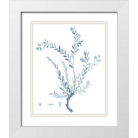 Antique Botanical in Blue VII White Modern Wood Framed Art Print with Double Matting by Vision Studio