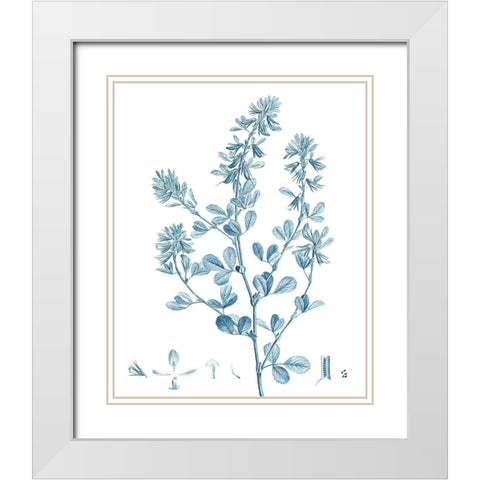 Antique Botanical in Blue VIII White Modern Wood Framed Art Print with Double Matting by Vision Studio