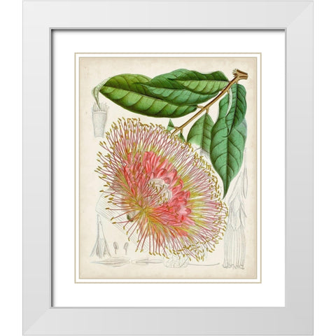Delicate Tropicals IV White Modern Wood Framed Art Print with Double Matting by Curtis